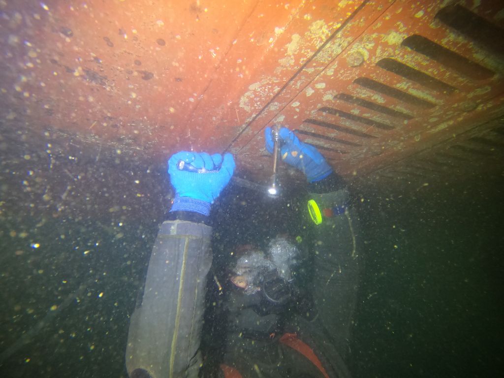 씨체스트 오픈 클리닝