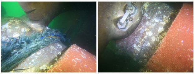 그물 및 로프 제거 작업