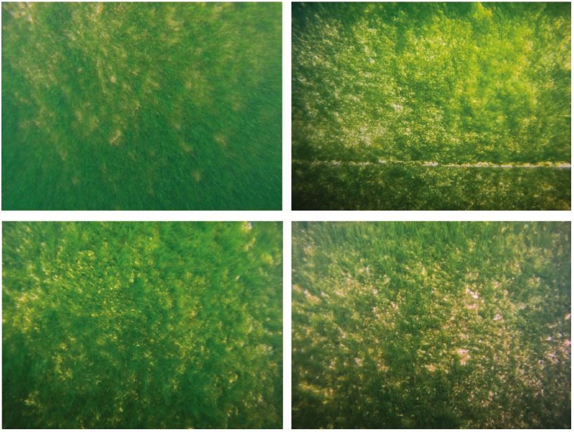 선체 청소 작업